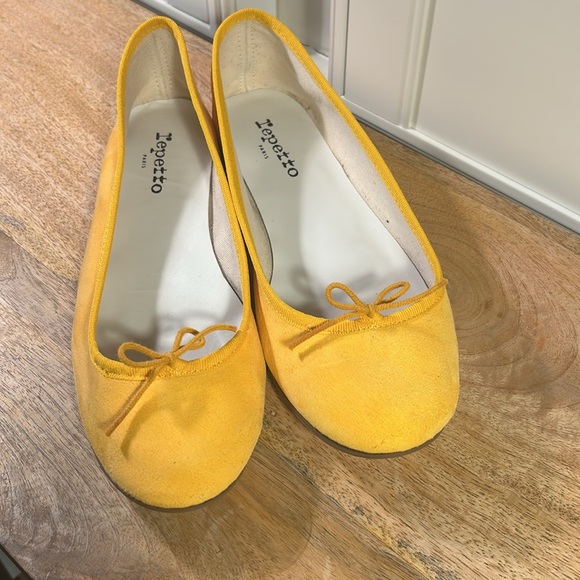 Repetto Suede Ballet Flats, Sz 41. Never worn outside. - Picture 2 of 3